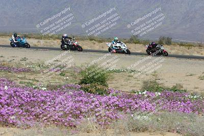 media/Feb-04-2023-SoCal Trackdays (Sat) [[8a776bf2c3]]/Turn 15 Inside Blooming (1050am)/